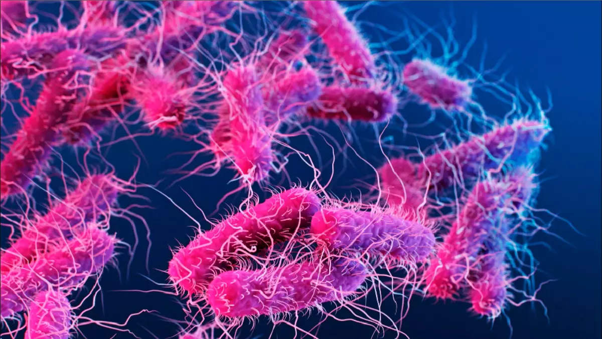 Kerala : Four-Year-Old Dies Of Shigella Infection; Govt Steps Up Surveillance Kerala : Four-Year-Old Dies Of Shigella Infection; Govt Steps Up Surveillance