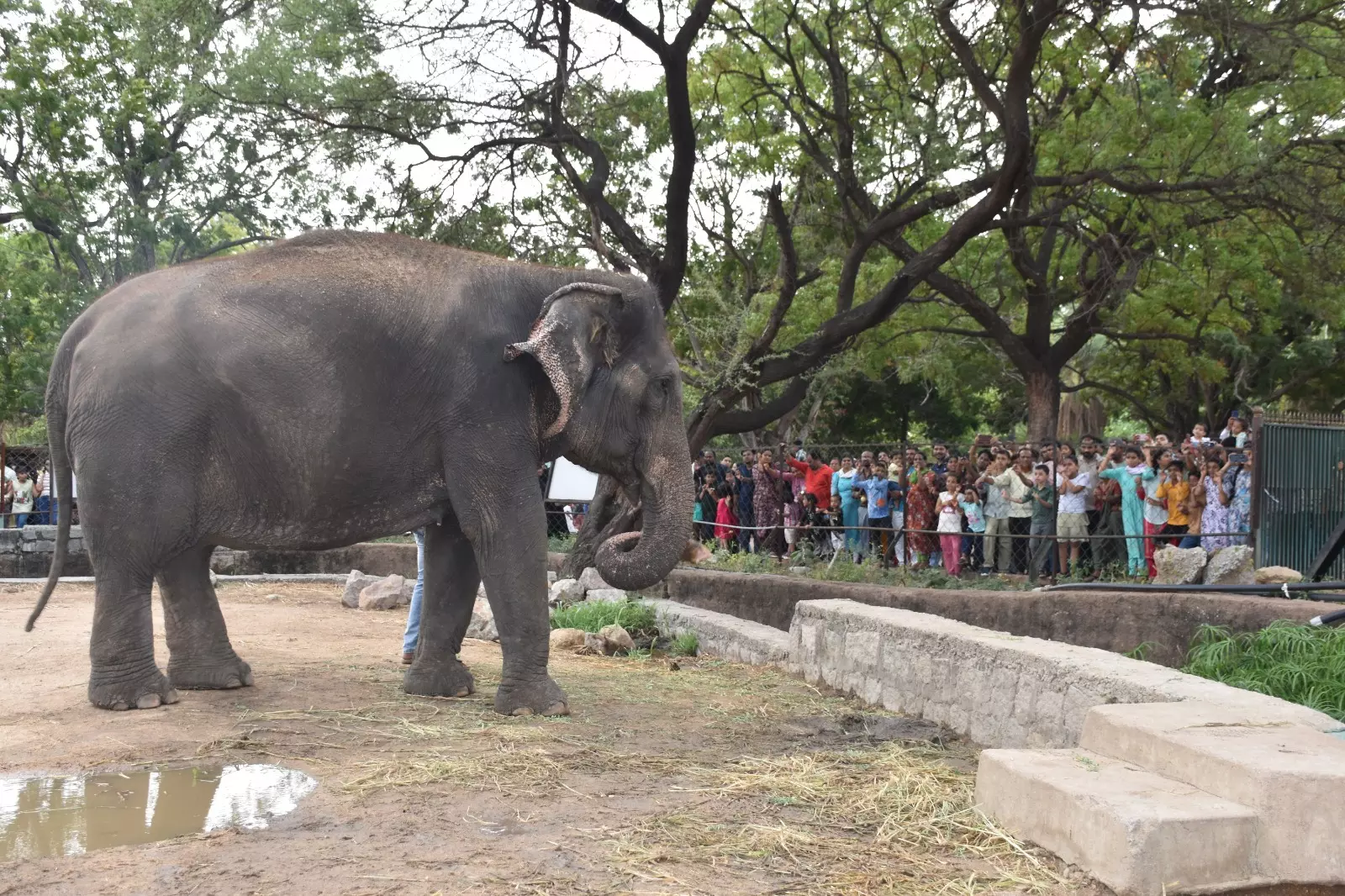 Zoo Draws 24,210 Visitors In A Day Zoo Draws 24,210 Visitors In A Day