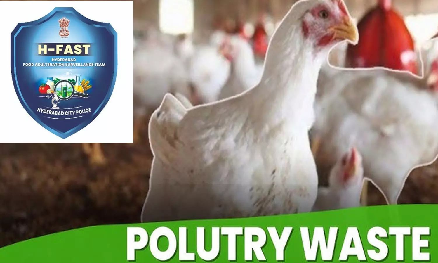 H-Fast Team Seizes 120 Tonnes Of Chicken Waste In Hyderabad H-Fast Team Seizes 120 Tonnes Of Chicken Waste In Hyderabad