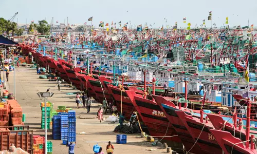 Keralas Annual Trawling Ban to Begin from Tuesday Midnight