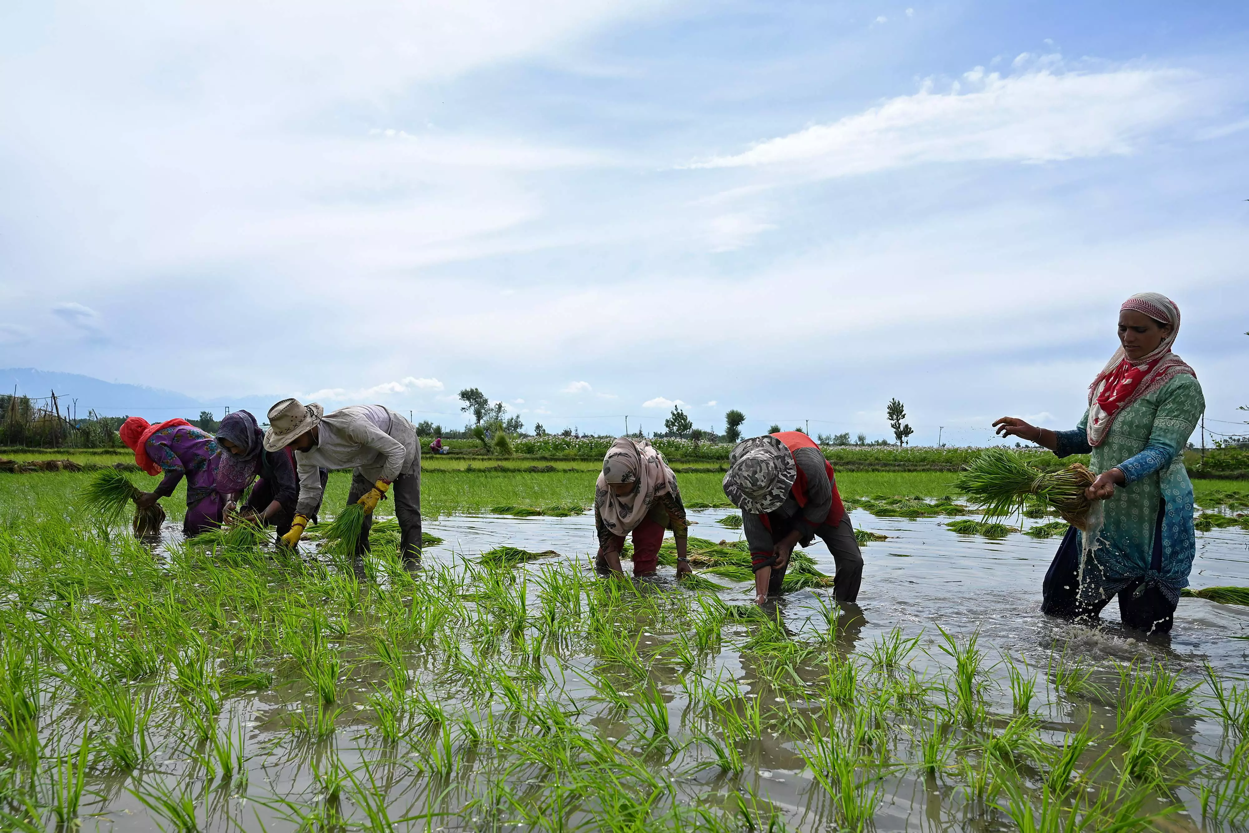 Don’t Rush Into Planting, Sporadic Rains Can Play Spoilsport, Farmers Told Don’t Rush Into Planting, Sporadic Rains Can Play Spoilsport, Farmers Told