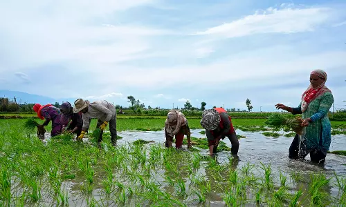 Don’t Rush Into Planting, Sporadic Rains Can Play Spoilsport, Farmers Told Don’t Rush Into Planting, Sporadic Rains Can Play Spoilsport, Farmers Told