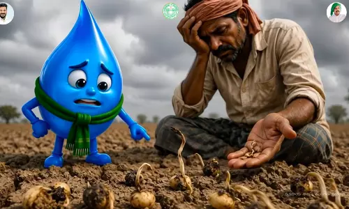 Coming to a Screen Near You: El Nino Short From Agri Dept