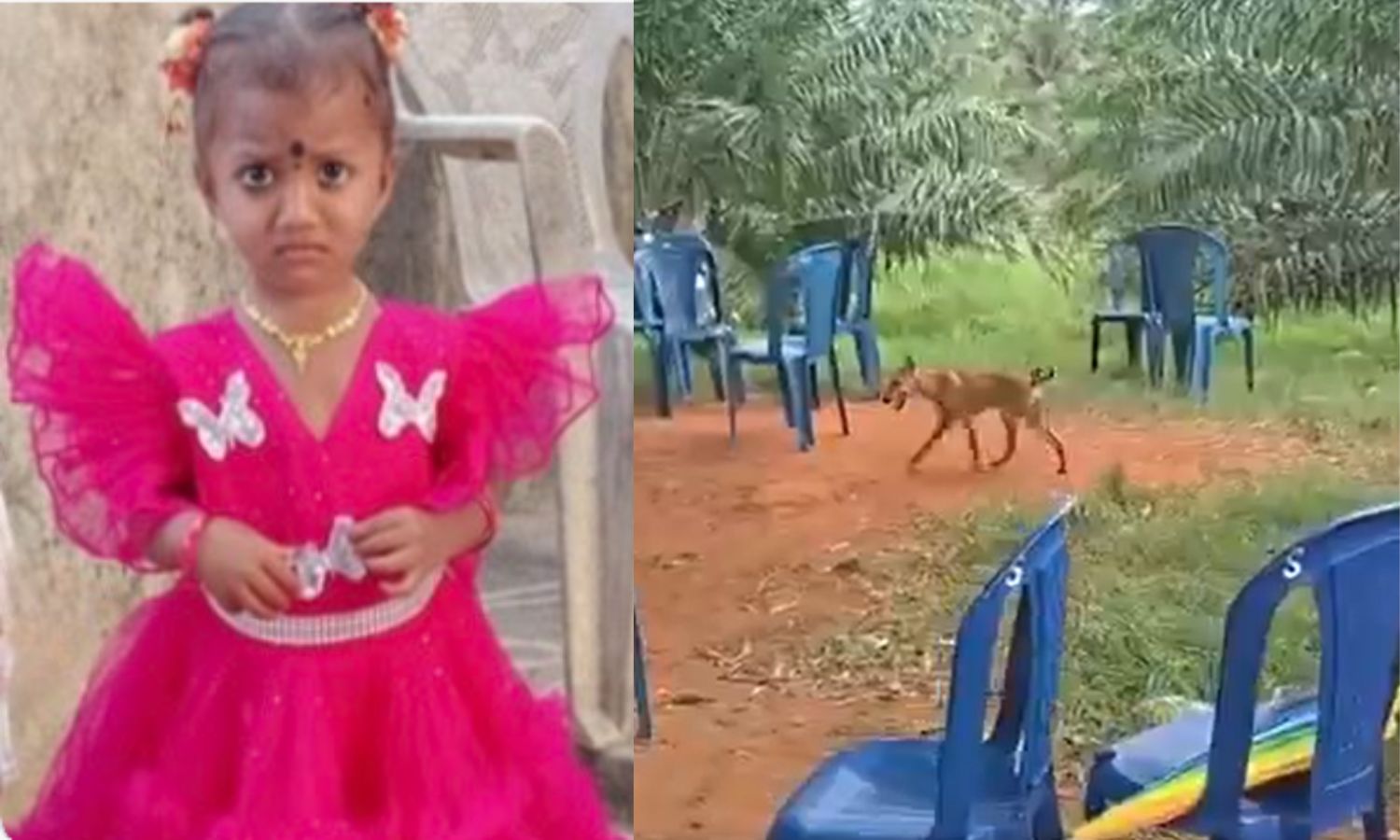Gnaneshwari Case: Pet Dog Dies During Treatment