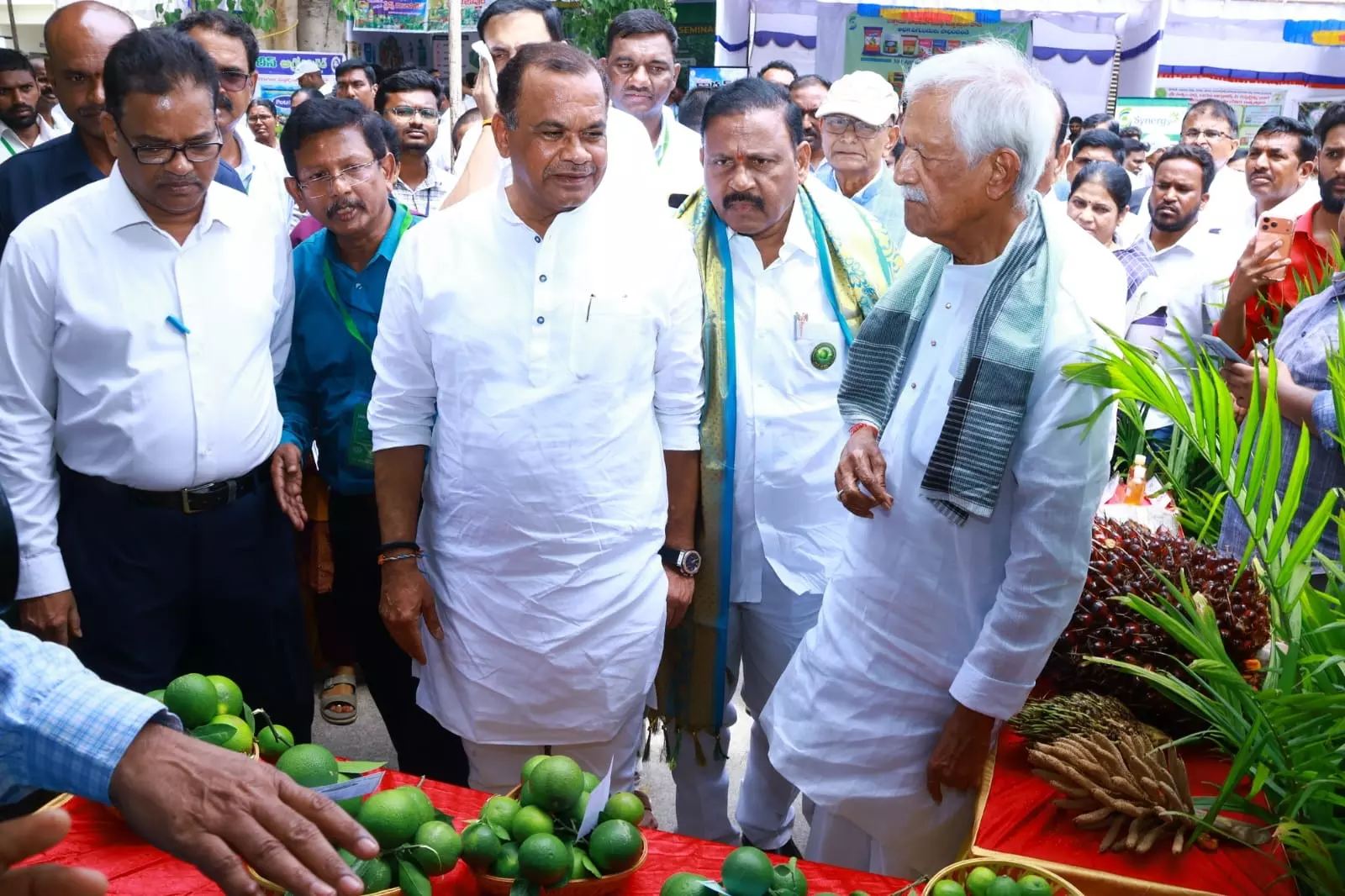 Minister Calls For Revival of Sweet Lime Cultivation Minister Calls For Revival of Sweet Lime Cultivation