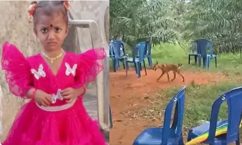Gnaneshwari Case: Pet Dog Dies During Treatment