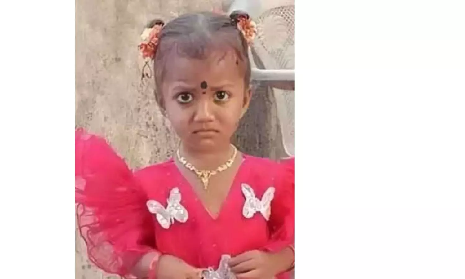 Gnaneshwari Case: Dolls Stuffed With Meat Arranged Gnaneshwari Case: Dolls Stuffed With Meat Arranged