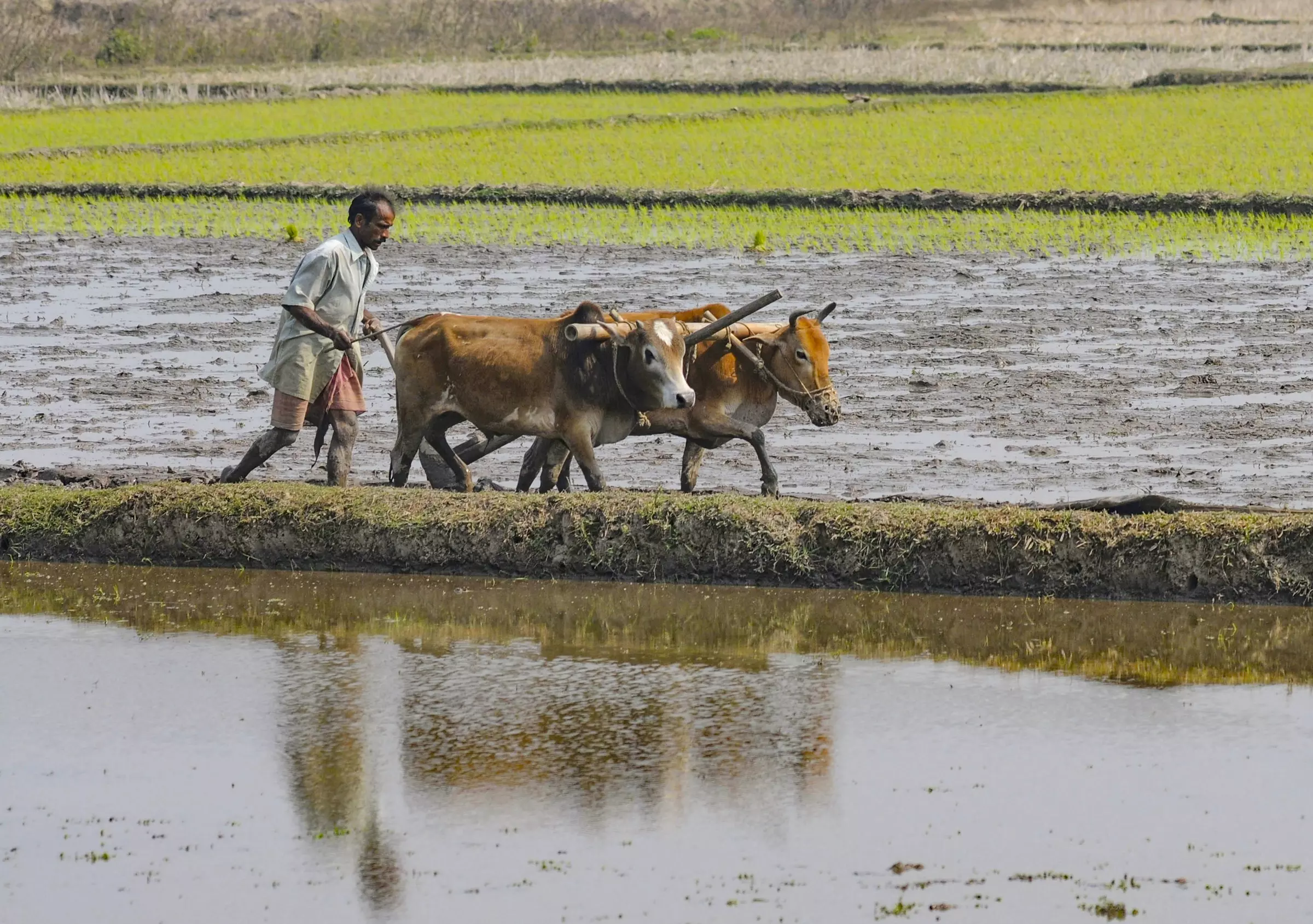El Niño To Hit 12 States Severely El Niño To Hit 12 States Severely