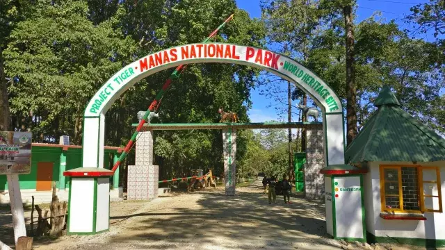 No Rhino, Tiger Poaching in Manas National Park for 3 Years: Himanta No Rhino, Tiger Poaching in Manas National Park for 3 Years: Himanta