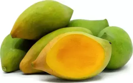 Tirupati Steps up Monitoring of Mango Procurement with Arrivals Peaking Tirupati Steps up Monitoring of Mango Procurement with Arrivals Peaking