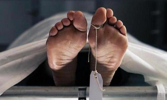 Assam Couple Electrocuted to Death at Poultry Farm in Thrissur