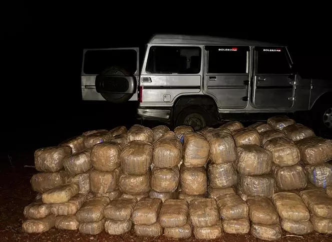 Telangana EAGLE Team Daring Operation Results in Seizure of 500 Kg Ganja Telangana EAGLE Team Daring Operation Results in Seizure of 500 Kg Ganja