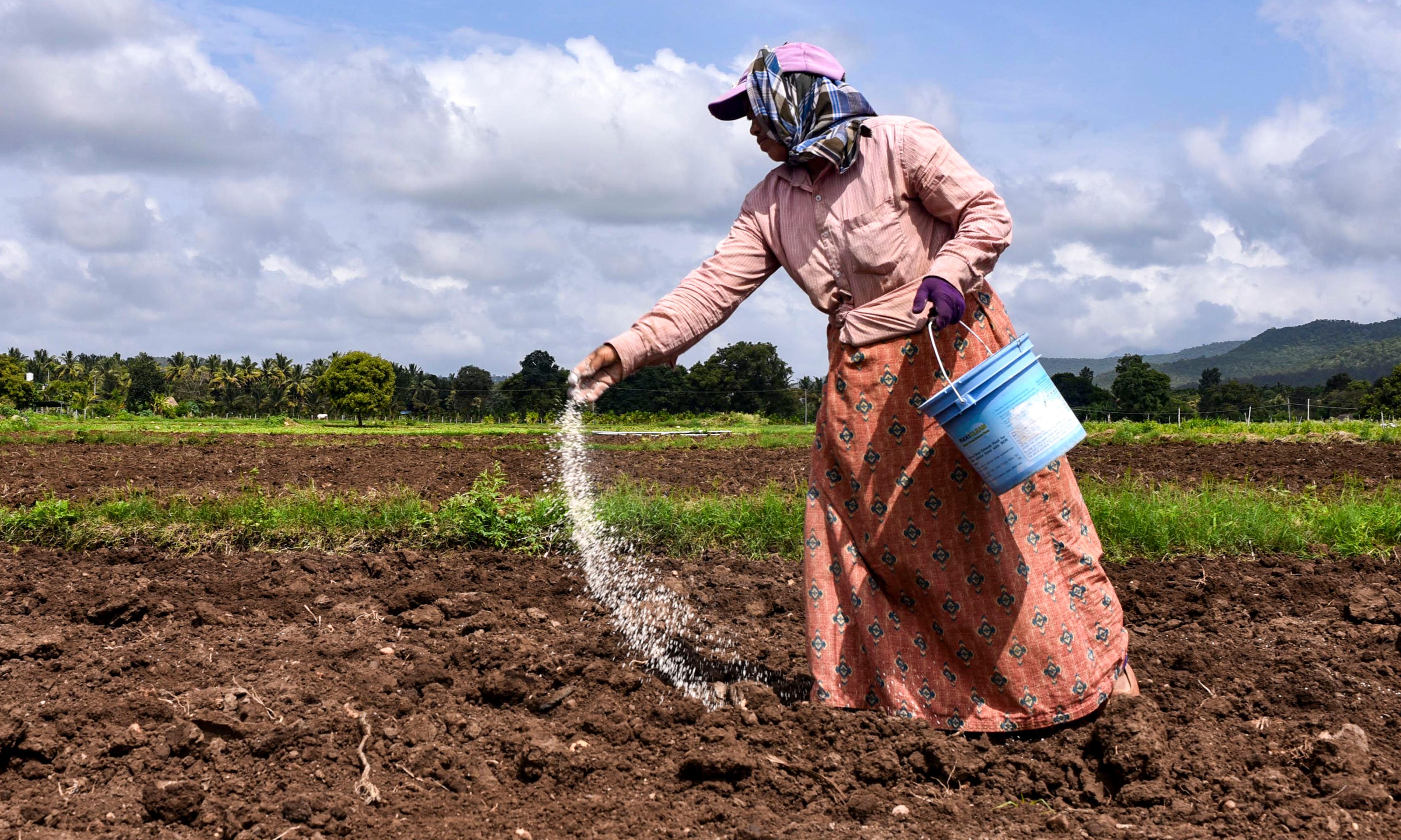Global Fertiliser Trade Drops 30% Amid Mideast War: UN
