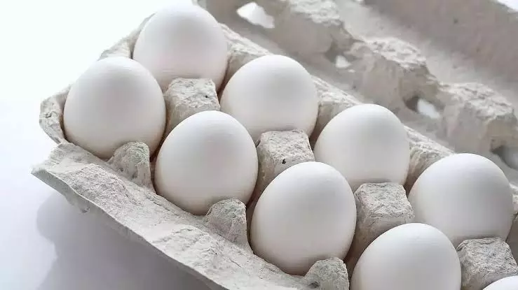 Protests Against TMC Spike Egg Prices In West Bengal Protests Against TMC Spike Egg Prices In West Bengal
