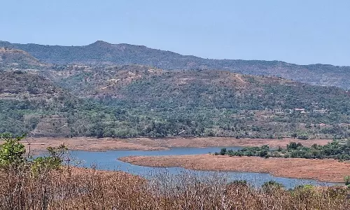 Pune Water Crisis Deepens as Reservoir Storage Falls to 14% Pune Water Crisis Deepens as Reservoir Storage Falls to 14%