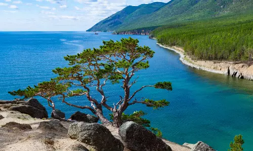 Oldest-Known Plague Outbreak Came 5,500 Years Ago In Siberia