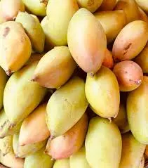 AP Government Announces ₹4 / Kg Subsidy To Support Totapuri Farmers AP Government Announces ₹4 / Kg Subsidy To Support Totapuri Farmers