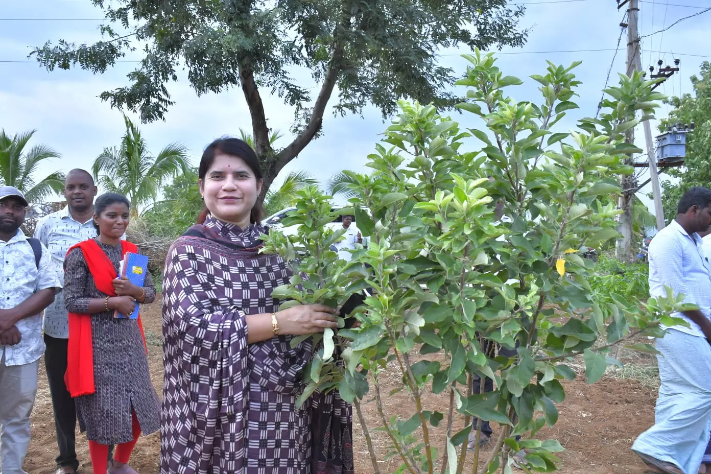 Apple, Avocado Farming Takes Root In Rayalaseema Apple, Avocado Farming Takes Root In Rayalaseema