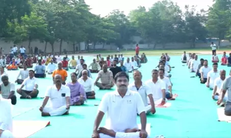 Senior Citizens Join Thematic Yoga Session Senior Citizens Join Thematic Yoga Session