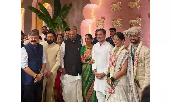 Revati Sule’s Lavish Wedding Revati Sule’s Lavish Wedding