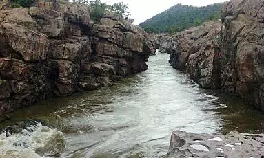 Farmers Federation to Approach SC Against Karnatakas Mekedatu Dam Move Farmers Federation to Approach SC Against Karnatakas Mekedatu Dam Move