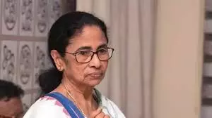Didi, Nephew Lose Control, Posts To Rebels In TMC Didi, Nephew Lose Control, Posts To Rebels In TMC