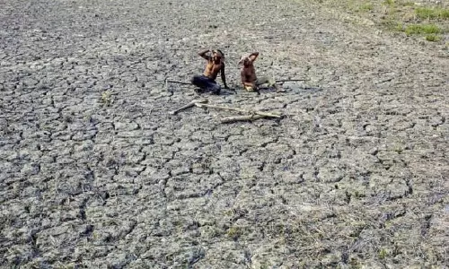 Dry Spell, Humidity Worry Rayalaseema Farmers