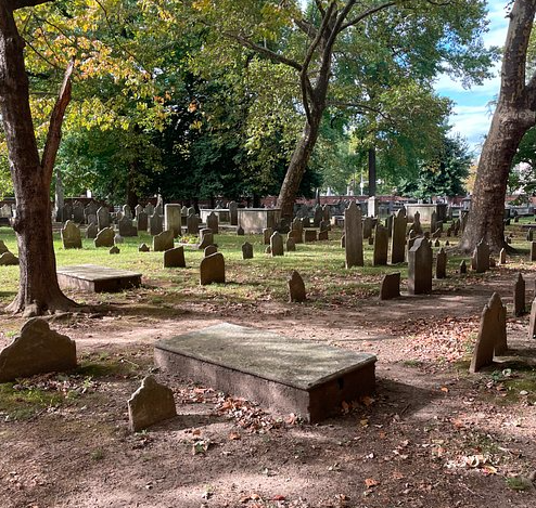 Hungarian Man Held for Collecting Body Parts From Cemeteries