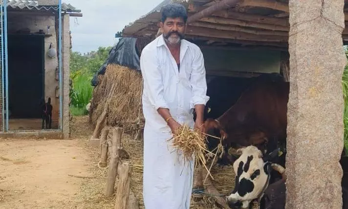 Karnataka: Hiriya Kempegowda Descendants Lead A Self-Reliant Life At Hulikal Of Magadi Karnataka: Hiriya Kempegowda Descendants Lead A Self-Reliant Life At Hulikal Of Magadi