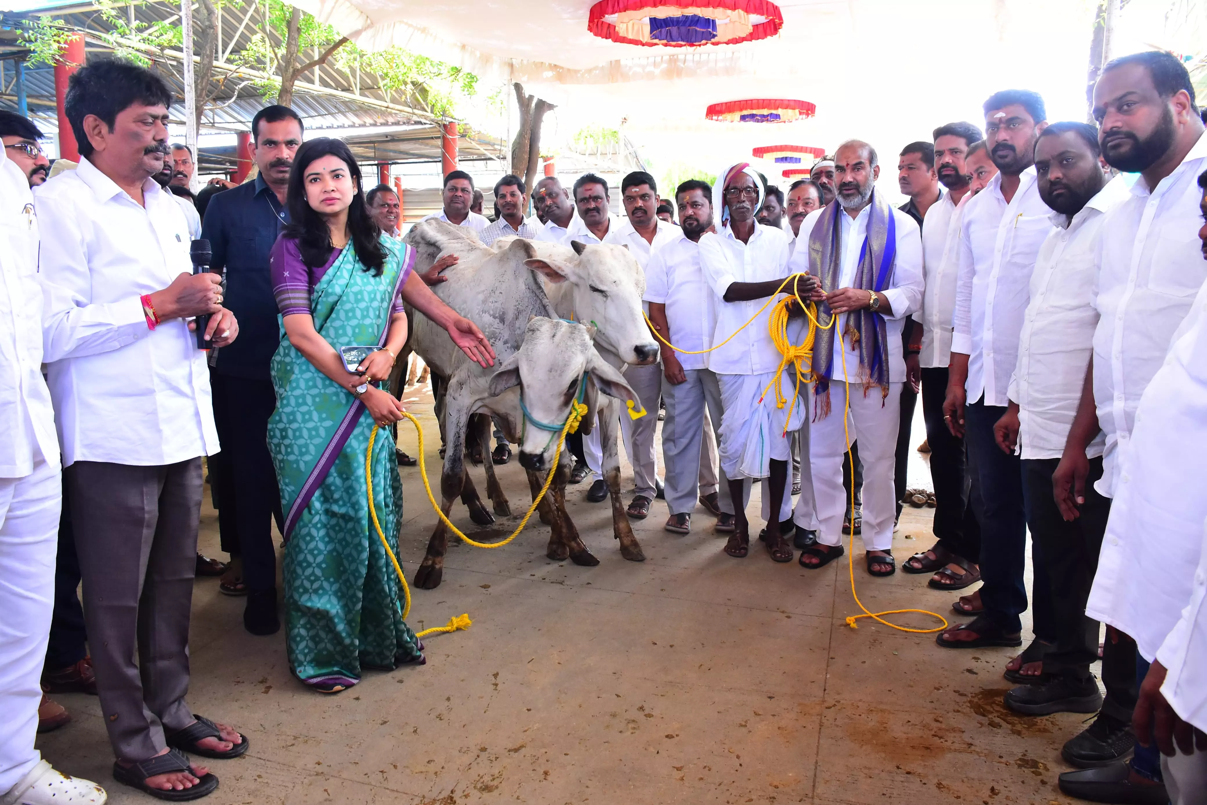 Telangana: 120 Pairs Of Young Bulls Distributed To Small Farmers Telangana: 120 Pairs Of Young Bulls Distributed To Small Farmers
