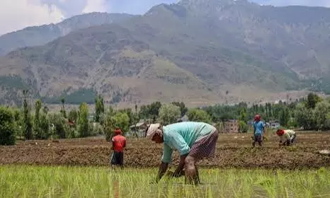 DC Edit | Take Steps To Allay Stress Of El Nino-hit Monsoon