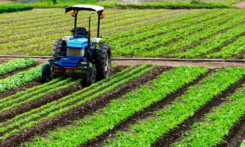 National Agro Walmart Foundations to strengthen 10 FPOs and support AP farmers