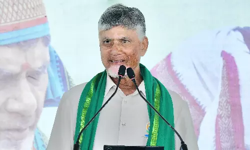 Chitti Collector Arna Wins AP CMs Heart, Goes Viral On Social Media