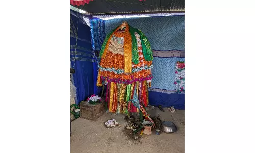 Adivasis Keep Muharram Traditions Alive As Tiger Dance Adds Colour Adivasis Keep Muharram Traditions Alive As Tiger Dance Adds Colour