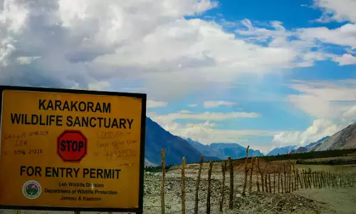 Ladakh Cracks Down On Illegal Off‑Roading In Wildlife Zones Ladakh Cracks Down On Illegal Off‑Roading In Wildlife Zones