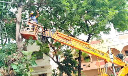 TGSPDCL Introduces Advanced Tree Pruners for Safer Operations TGSPDCL Introduces Advanced Tree Pruners for Safer Operations