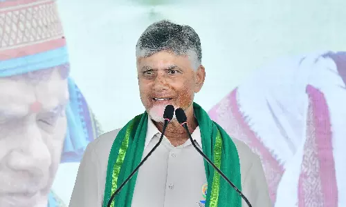 CM Naidu Calls For Citizen-Friendly Services, Voice Message Grievance Redressal on Mana Mitra
