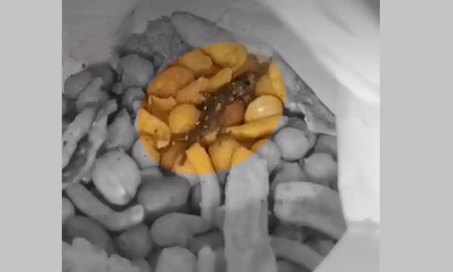 Sircilla: Lizard Found in Mixture Packet, Sweet Shop Fined Rs 1 Lakh Sircilla: Lizard Found in Mixture Packet, Sweet Shop Fined Rs 1 Lakh