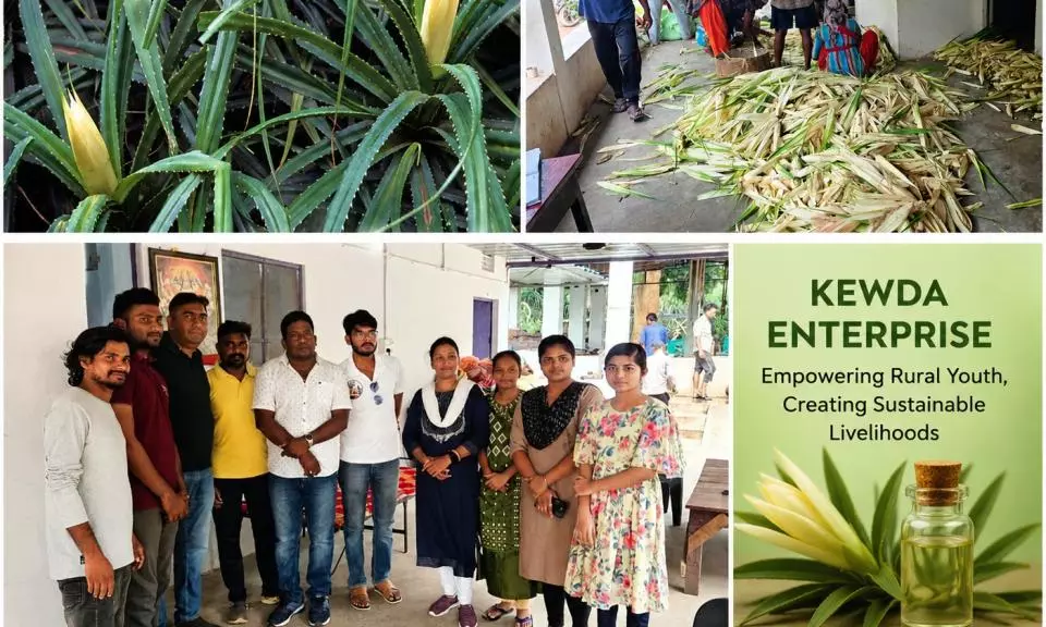 From Fragrance To Financial Freedom: How Kewda Enterprise Is Transforming Rural Lives In Odisha From Fragrance To Financial Freedom: How Kewda Enterprise Is Transforming Rural Lives In Odisha