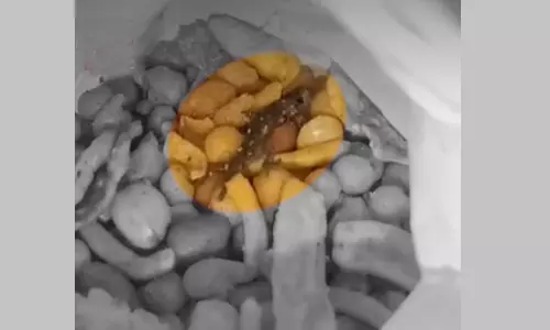 Sircilla: Lizard Found in Mixture Packet, Sweet Shop Fined Rs 1 Lakh