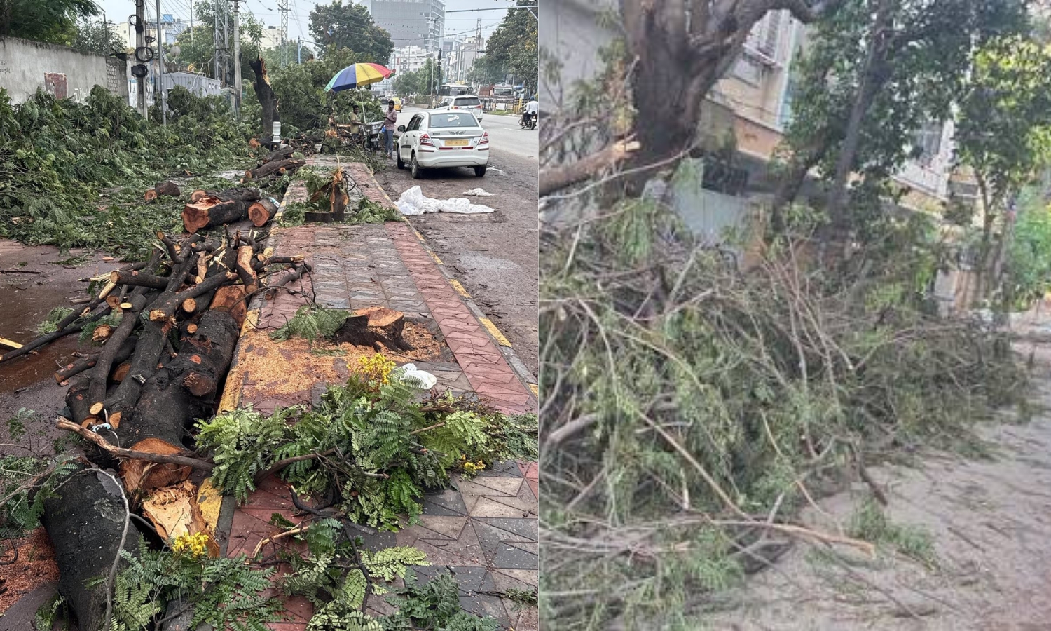 Discom, Civic Bodies Spar Over Cut Trees, Leave City Hostage