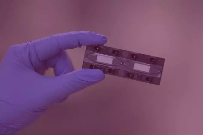 Indian Scientists Recreate Key Functions Of Human Placenta On A Chip Indian Scientists Recreate Key Functions Of Human Placenta On A Chip
