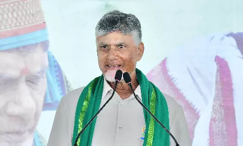 Naidu To Replicate Nalagampalli Net-Zero Model Across AP