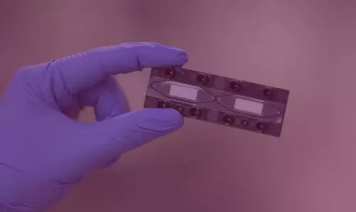 Indian Scientists Recreate Key Functions Of Human Placenta On A Chip