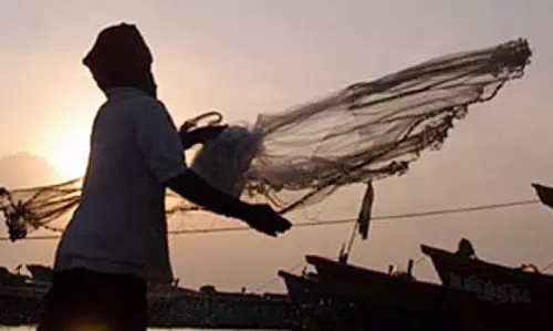Fishermen Seek Higher Diesel Subsidy, Urgent Government Support Fishermen Seek Higher Diesel Subsidy, Urgent Government Support