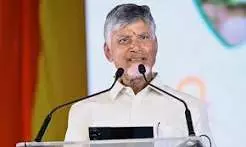 Gear Up To Win Every Local Body Seat, Naidu Tells TD Cadre Gear Up To Win Every Local Body Seat, Naidu Tells TD Cadre