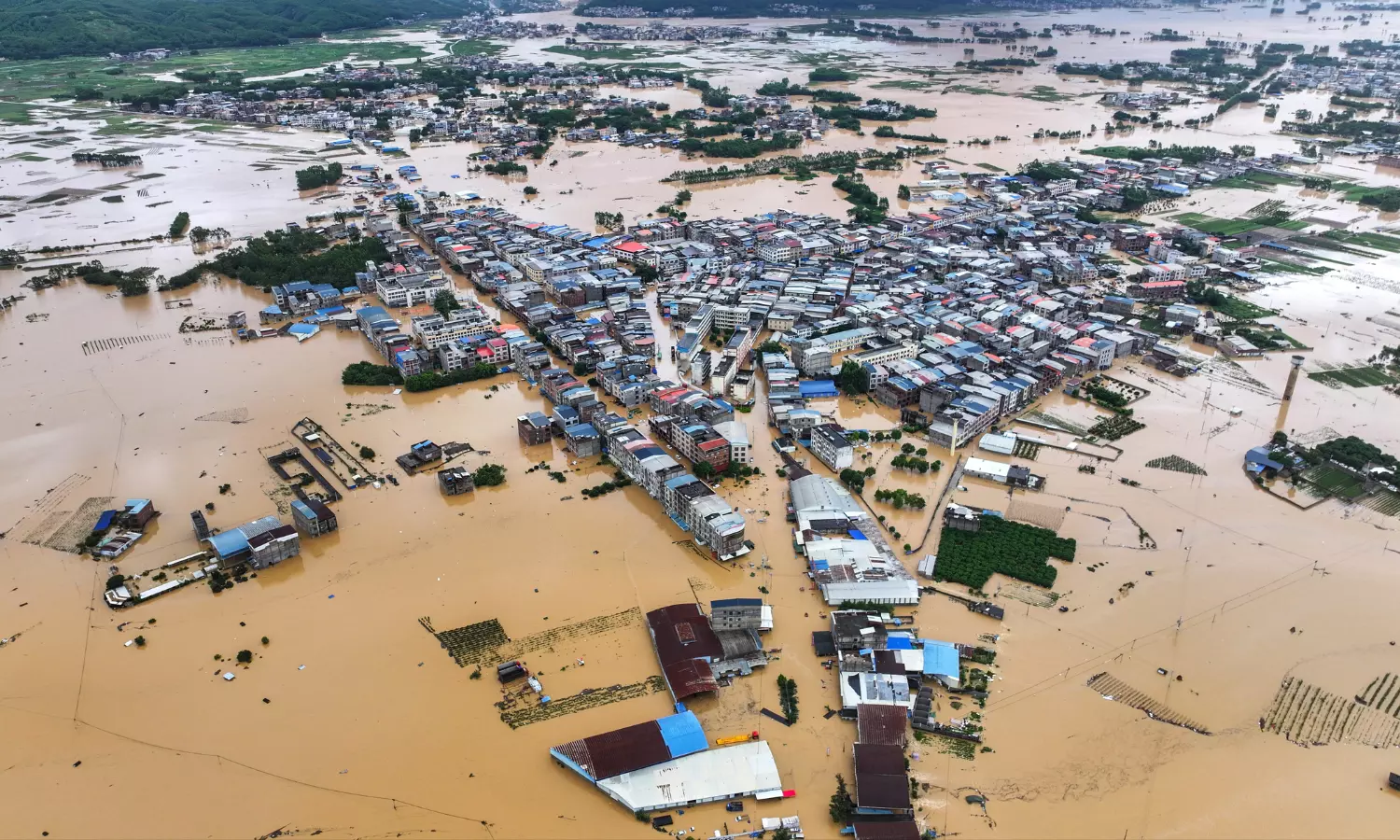 China Floods Kill 20 as 900 Snakes Escape from Reptile Farm China Floods Kill 20 as 900 Snakes Escape from Reptile Farm