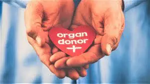 Family Of 76-Year-Old Woman Donates Organs After Brain Death Family Of 76-Year-Old Woman Donates Organs After Brain Death