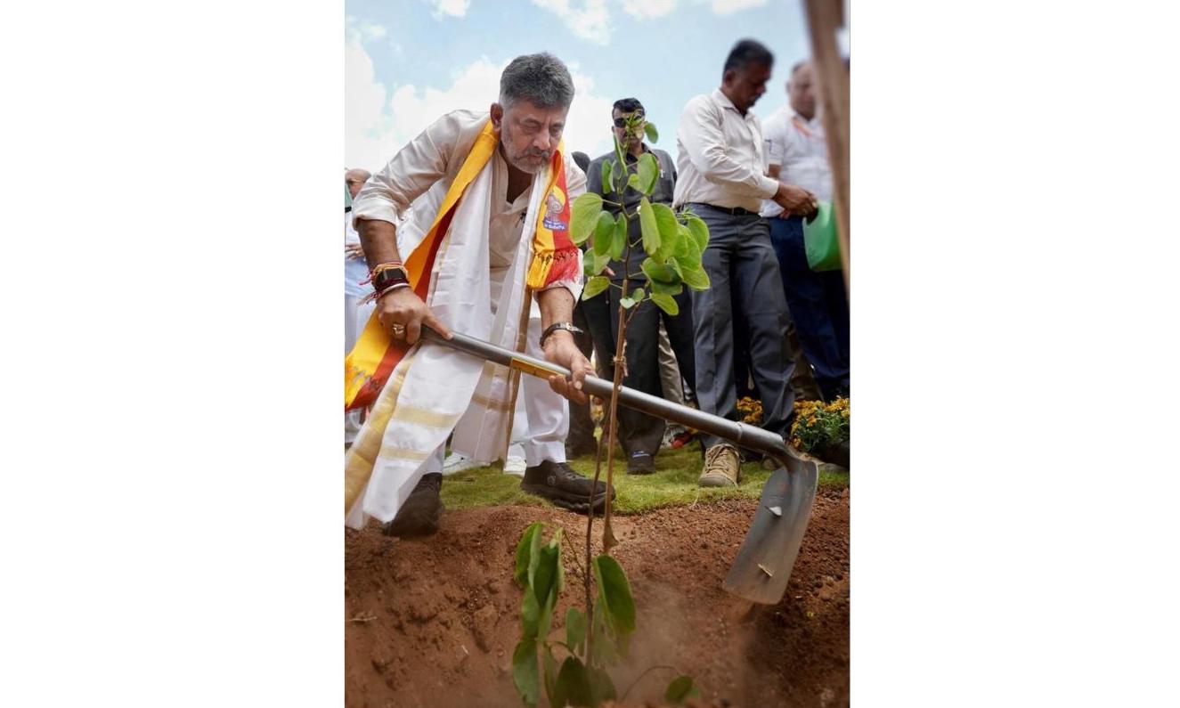 After Entering Guinness Records, Saplings Wither Across Sites In Bengaluru