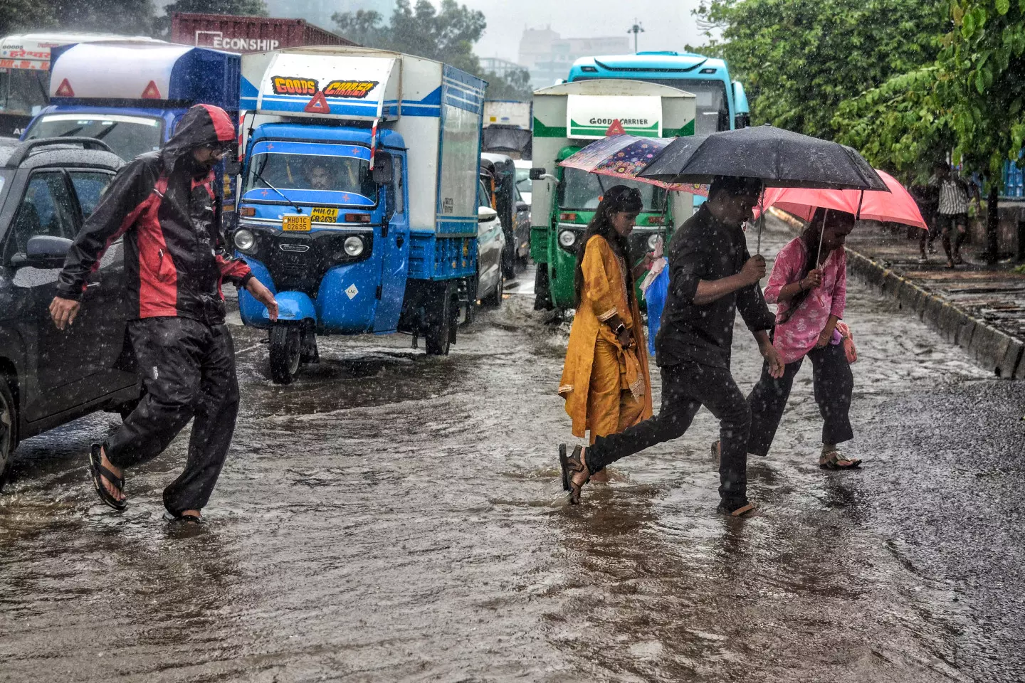 IMD Issues Heavy Rain Alert for Many States IMD Issues Heavy Rain Alert for Many States